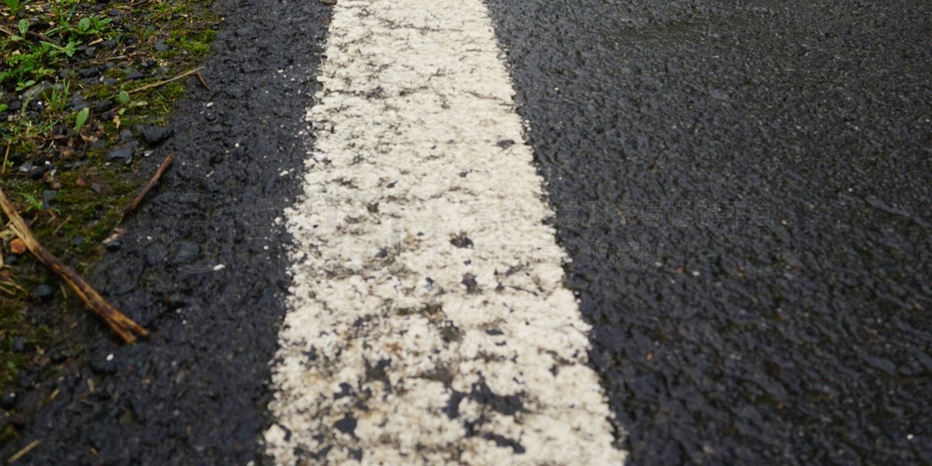 树木与道路风景 免费下载JPG高清壁纸